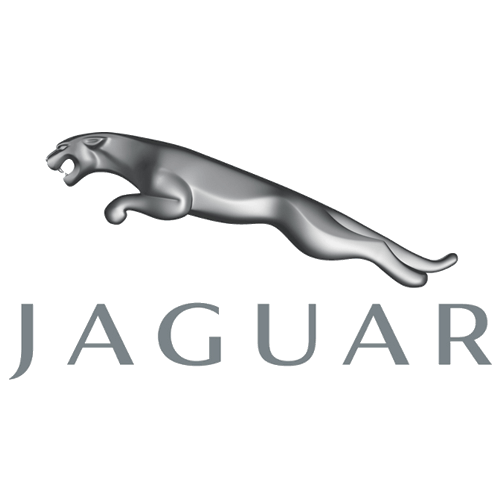 Jaguar Jaguar